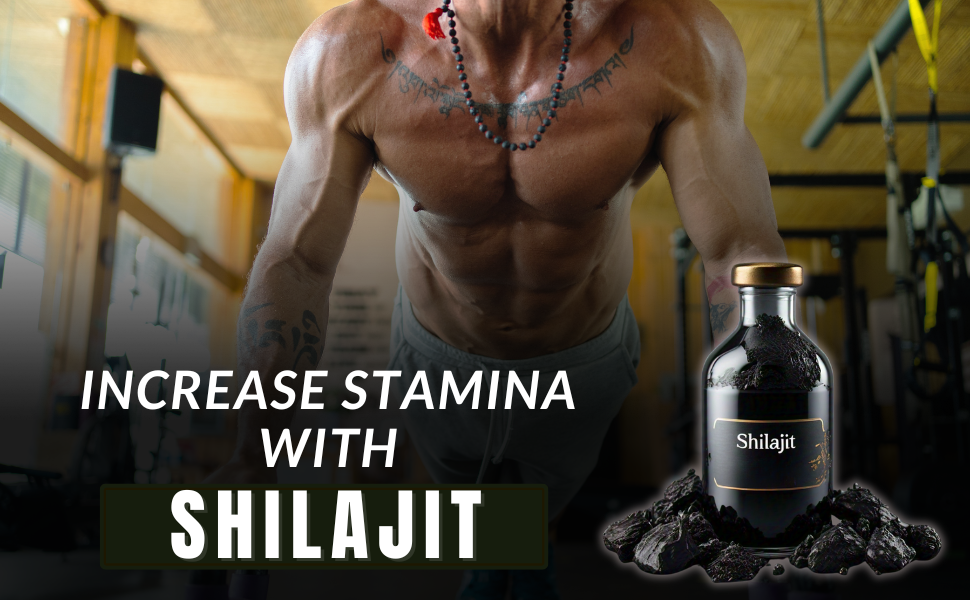 Increase Stamina With Shilajit